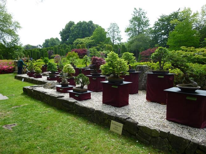 Japanischer Garten Bonn
