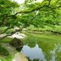 Japanischer Garten Bonn