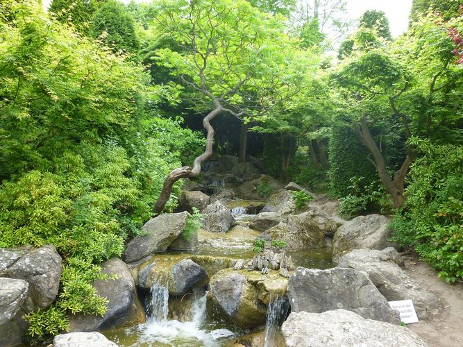 Japanischer Garten Bonn