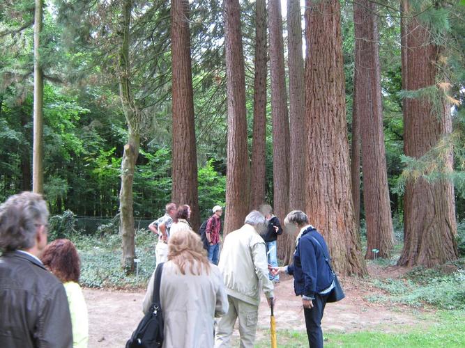 Sequoiafarm Kaldenkirchen 2013